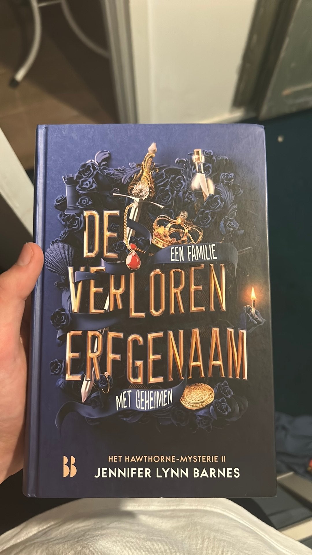Boek de verloren erfgenaam, Ophalen of Verzenden, Zo goed als nieuw