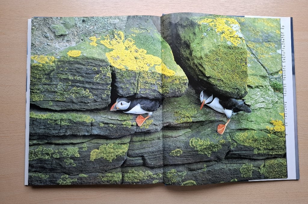 mooi boek over Klimaat en Natuur (WNF), Ophalen of Verzenden, Zo goed als nieuw, Natuur algemeen, WNF