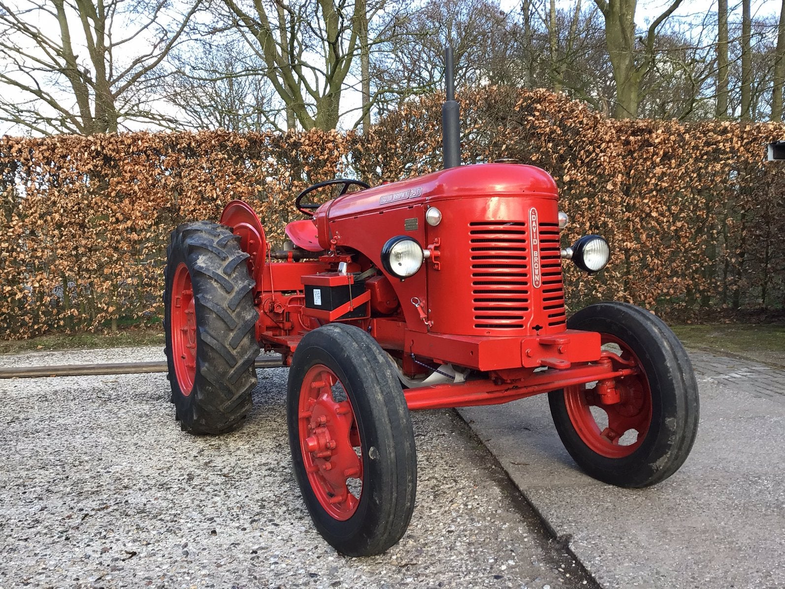David Brown 25D, Tot 2500, Oldtimer, Tot 80 Pk, Ophalen