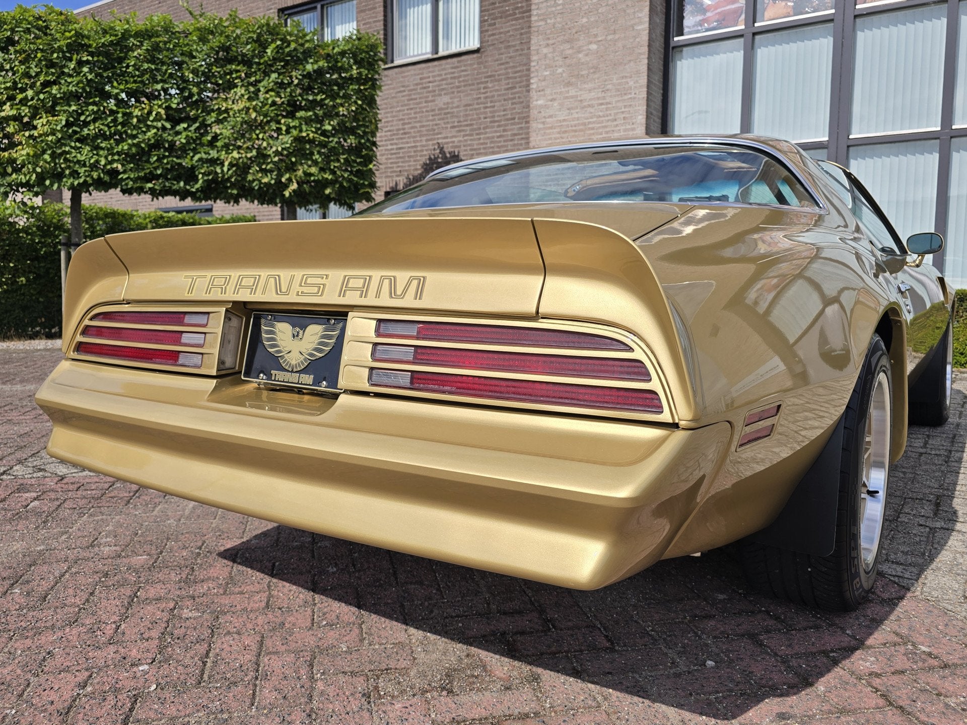 Pontiac Firebird Trans Am 6.6 FW 87 Y88 GOLD SPECIAL EDITION, foto 3