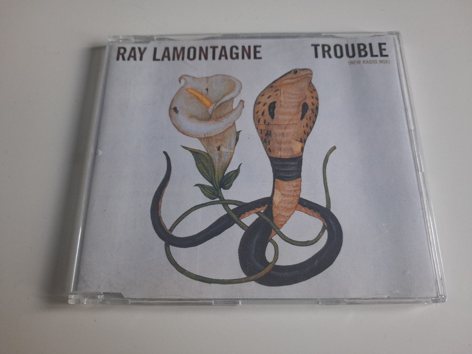 Ray Lamontagne-Trouble, Verzenden, Pop