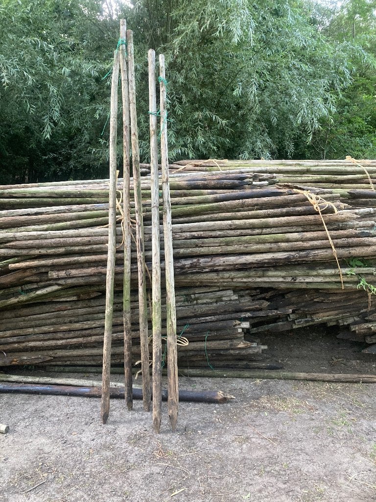 Wees erbij nog Rikkepalen afrastering boompalen lange, Ophalen, Zo goed als nieuw, 250 cm of meer, Palen