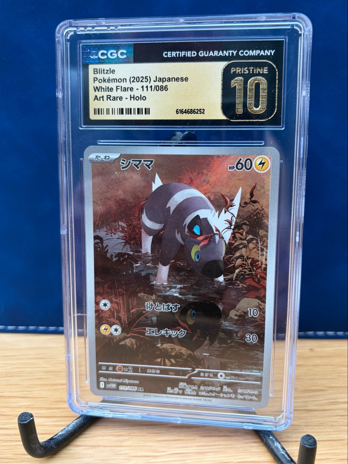 Blitzle Pokémon (2025) Japanese White Flare - Holo CGC 10, Hobby en Vrije tijd, Verzamelkaartspellen | Pokémon, Ophalen of Verzenden