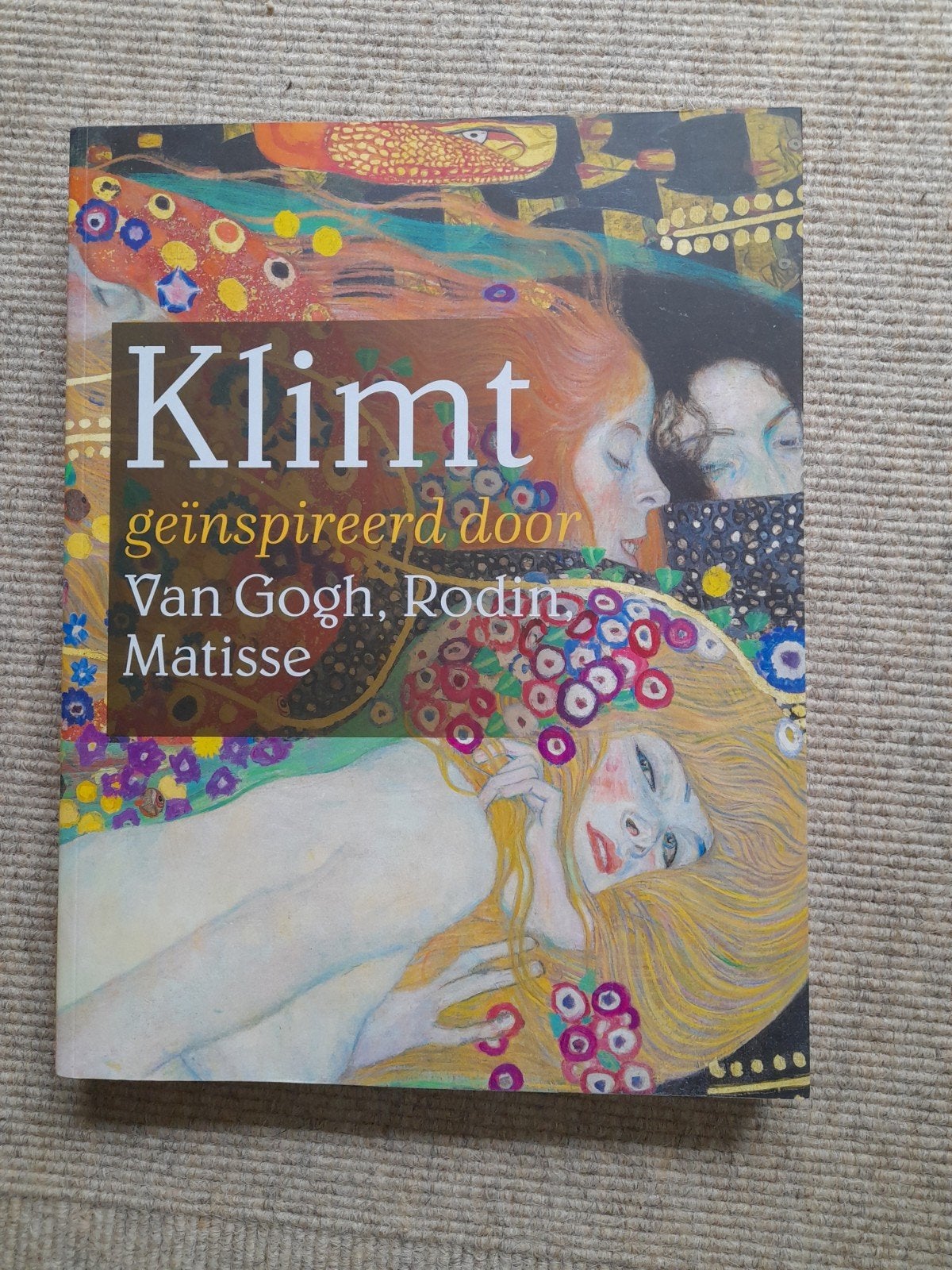Klimt geïnspireerd door Van Gogh, Rodin, Matisse - Boek, Ophalen of Verzenden, Zo goed als nieuw, Schilder- en Tekenkunst