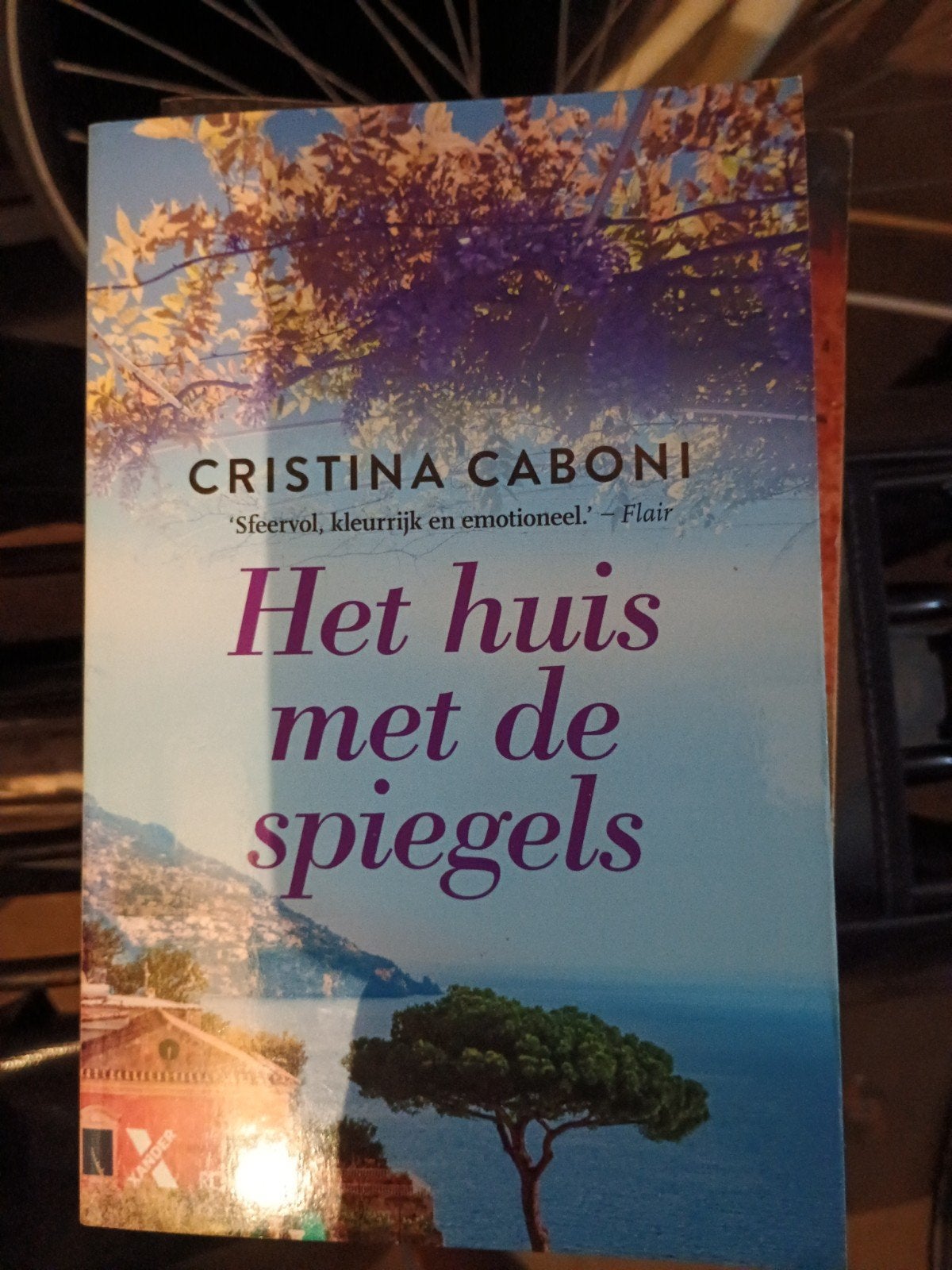 Cristina Caboni - Het huis met de spiegels, Boeken, Ophalen of Verzenden, Zo goed als nieuw, Cristina Caboni