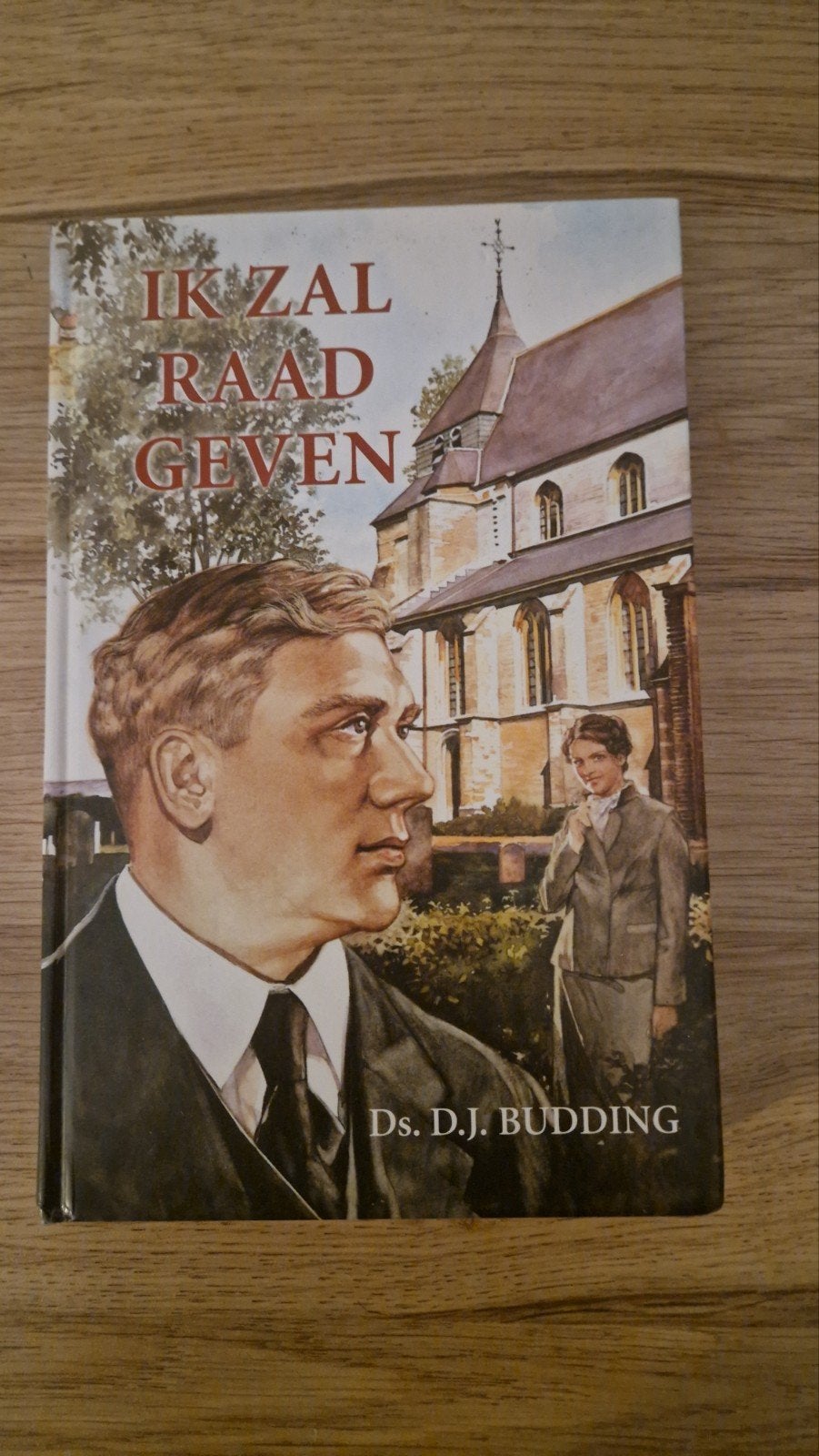 Ik Zal Raad Geven - Ds. D.J. Budding (Christelijk Boek), Boeken, Ophalen of Verzenden, Zo goed als nieuw, Ds. D.J. Budding, Christendom | Protestants
