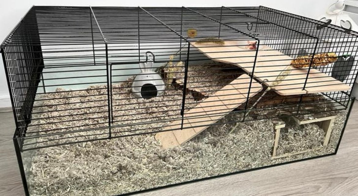 Dwerghamster hok inclusief spullen, Minder dan 75 cm, Zo goed als nieuw, Hok, Ophalen