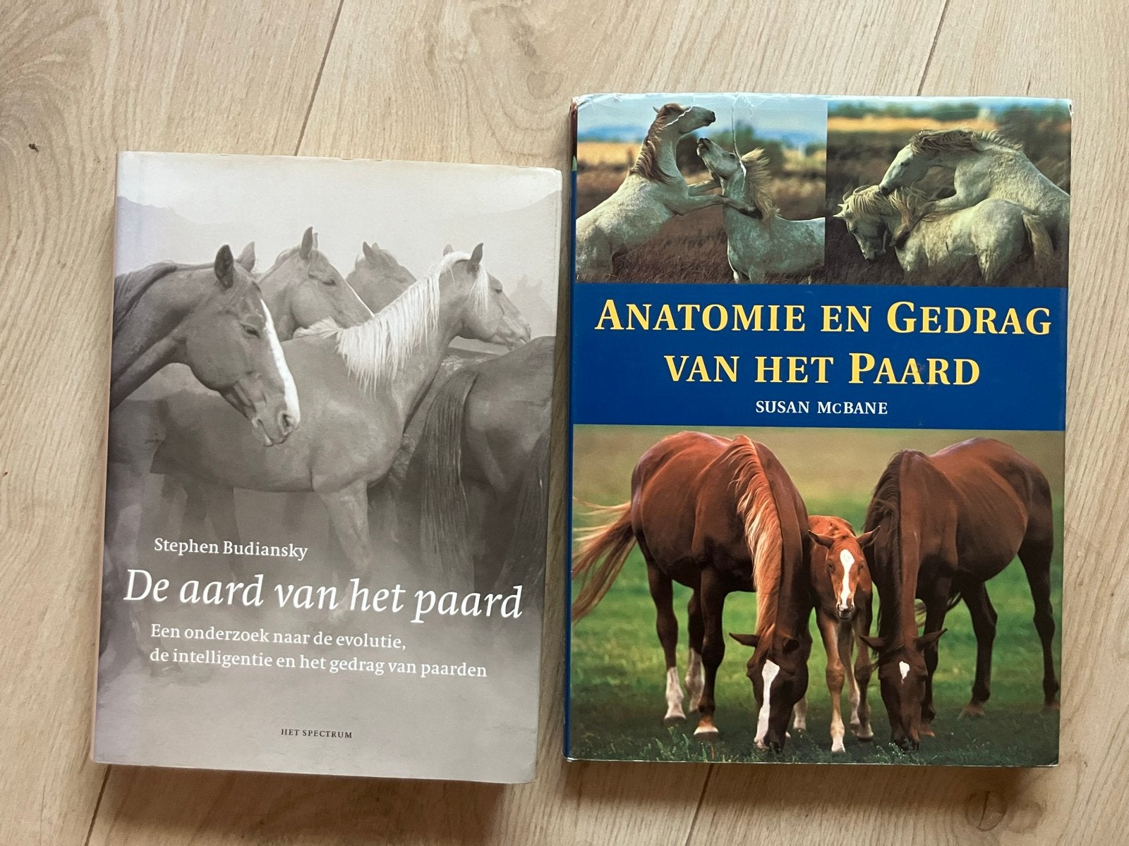 Boeken over paarden: anatomie, gedrag en aard, Boeken, Ophalen of Verzenden, Gelezen, Paarden of Pony's