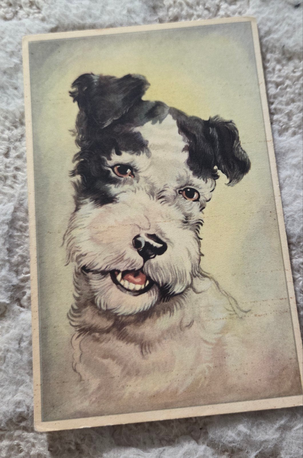 Vintage Ansichtkaart: Vrolijke Terriër Hond, Verzenden, Voor 1920, Ongelopen, Hond of Kat