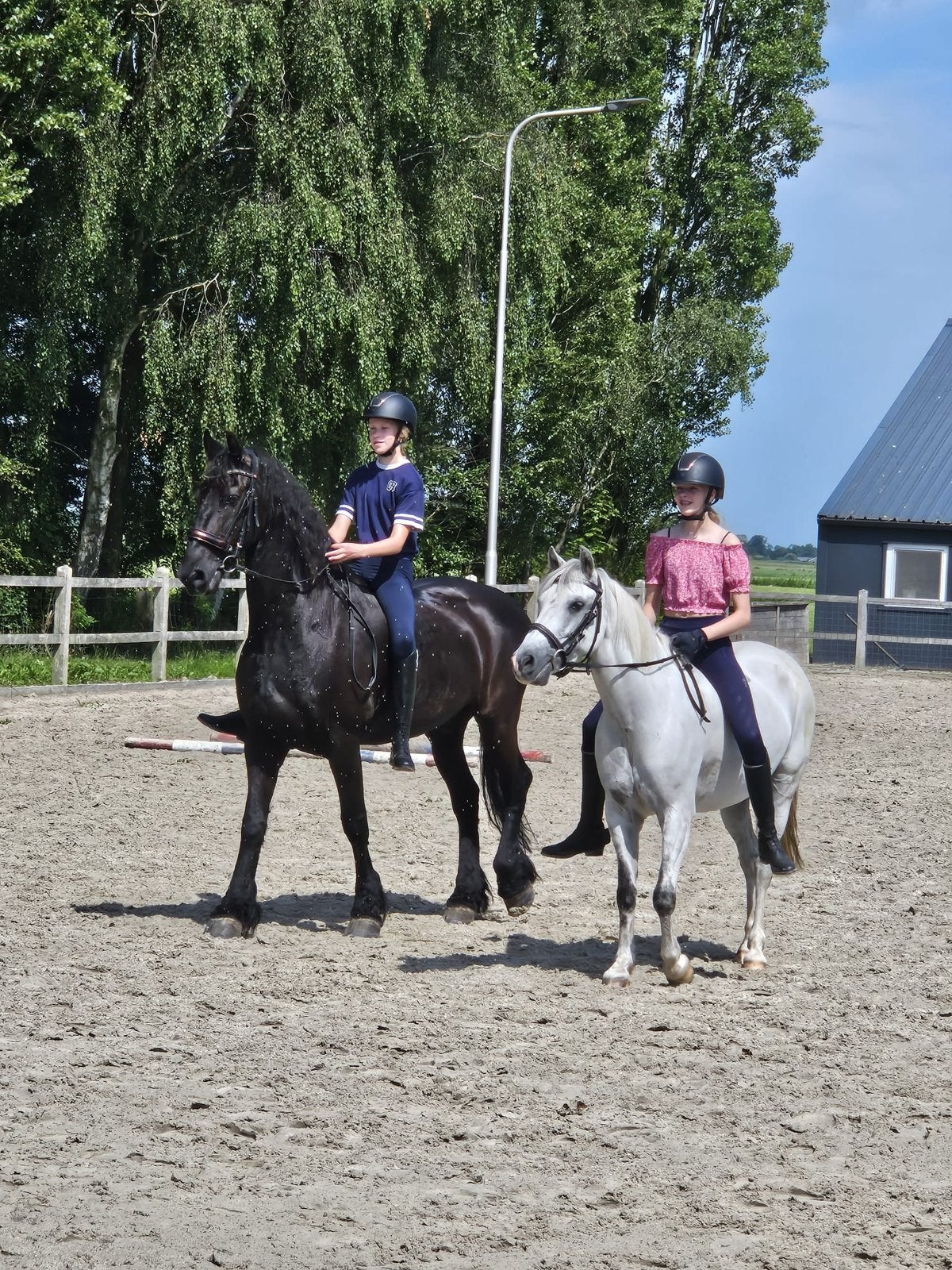 Bijrijder aangeboden / bijrijdpony gezocht, Ophalen, Nieuw