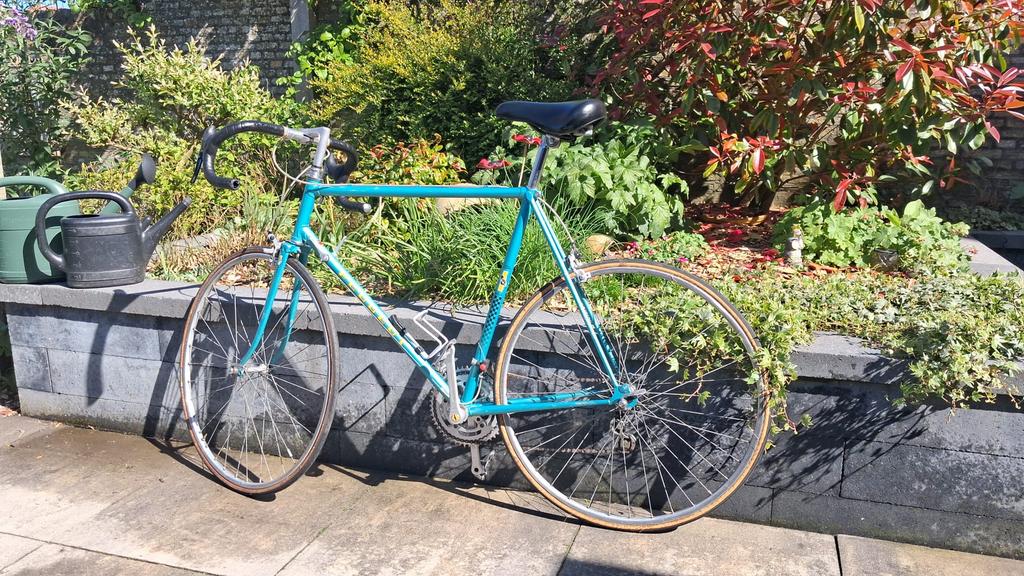 Peugeot oldtimer racefiets - Klassieke stalen ros, Fietsen en Brommers, Fietsen | Racefietsen, Gebruikt, Staal, Heren, 53 tot 57 cm