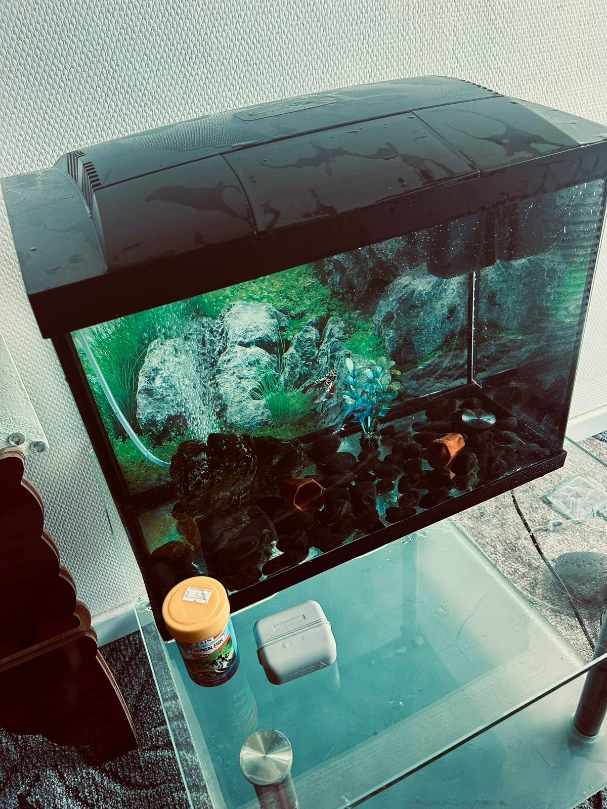 Prima aquarium met vissen en toebehoren 45 L, Ophalen, Zo goed als nieuw