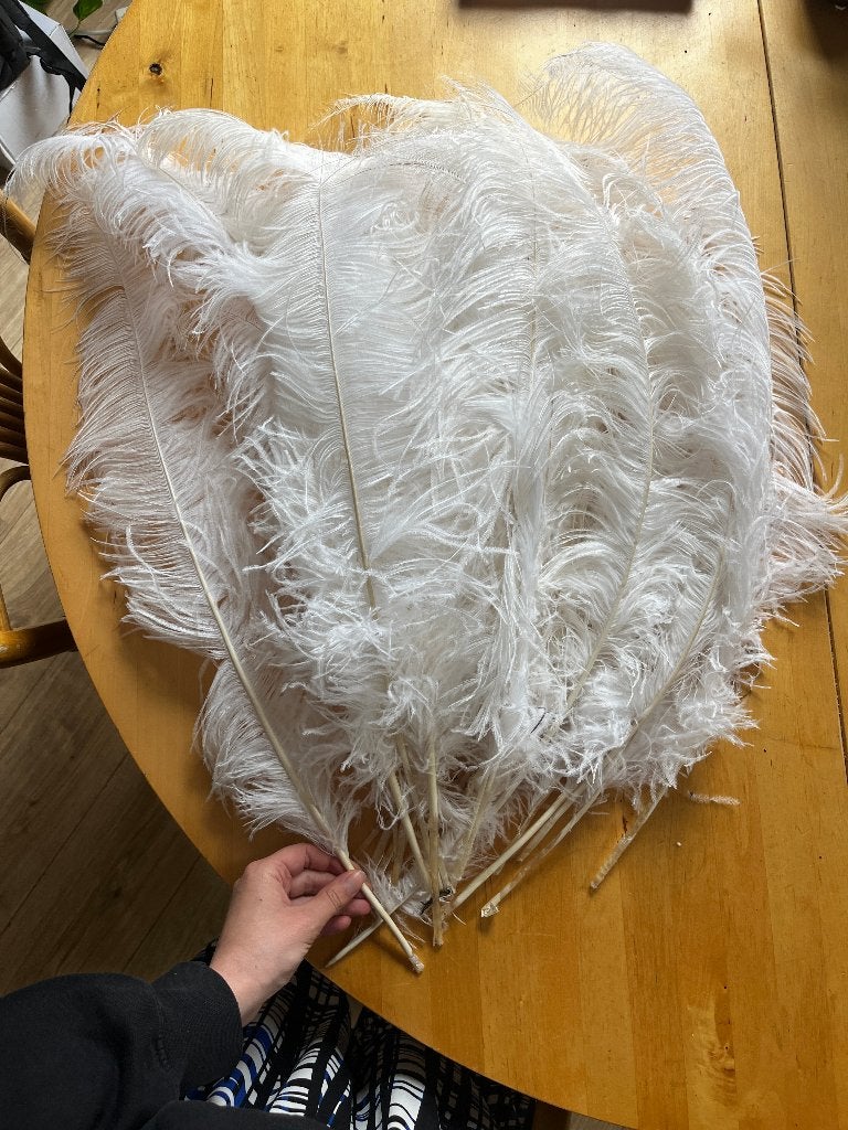 Witte struisvogelveren 60-80cm 25x, Dieren, Ophalen of Verzenden, Zo goed als nieuw, Knutselmateriaal