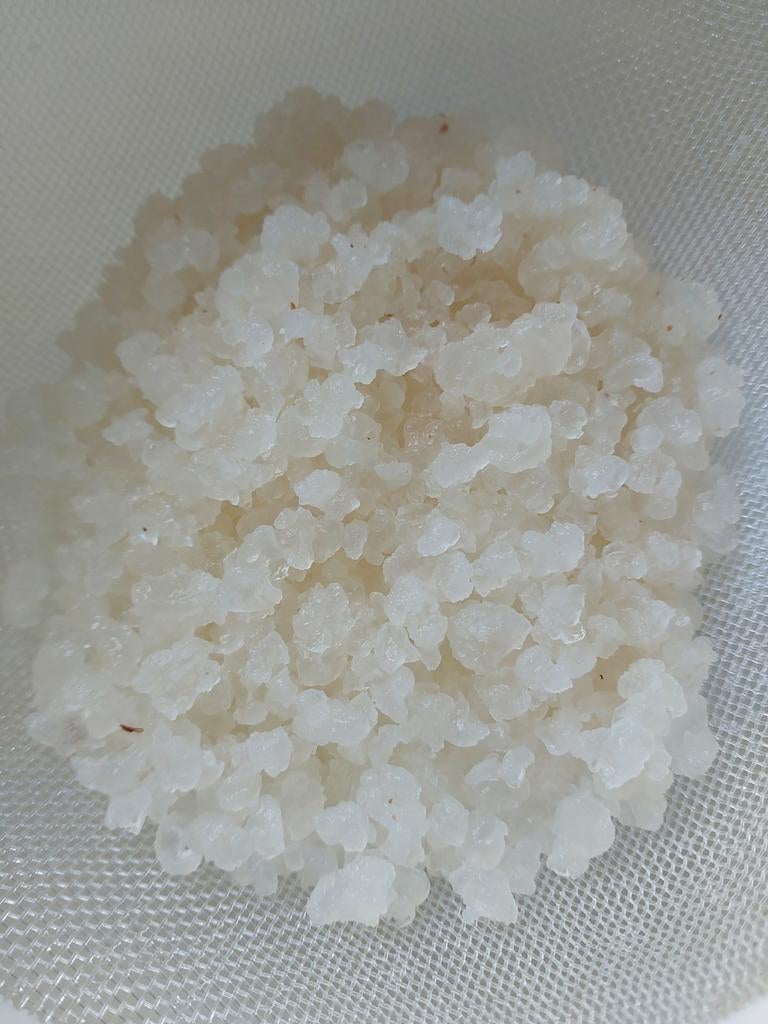 Waterkefir, Ophalen