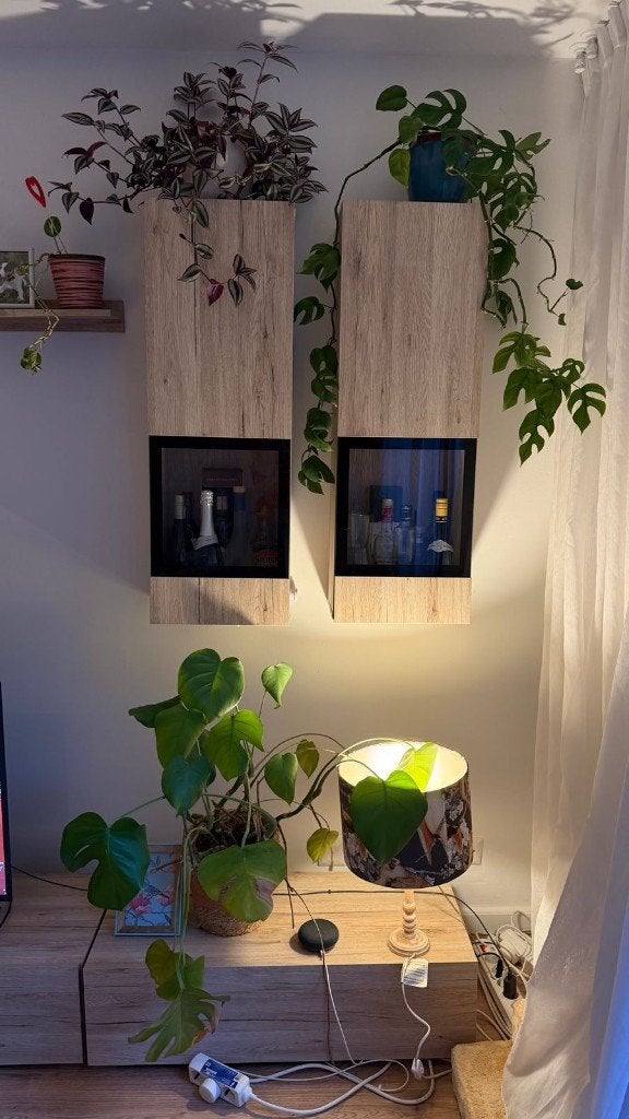 Hangvitrinekast (Wall-mounted display cabinet) + TV cabinet, Ophalen of Verzenden, Minder dan 100 cm, 25 tot 50 cm, Glas