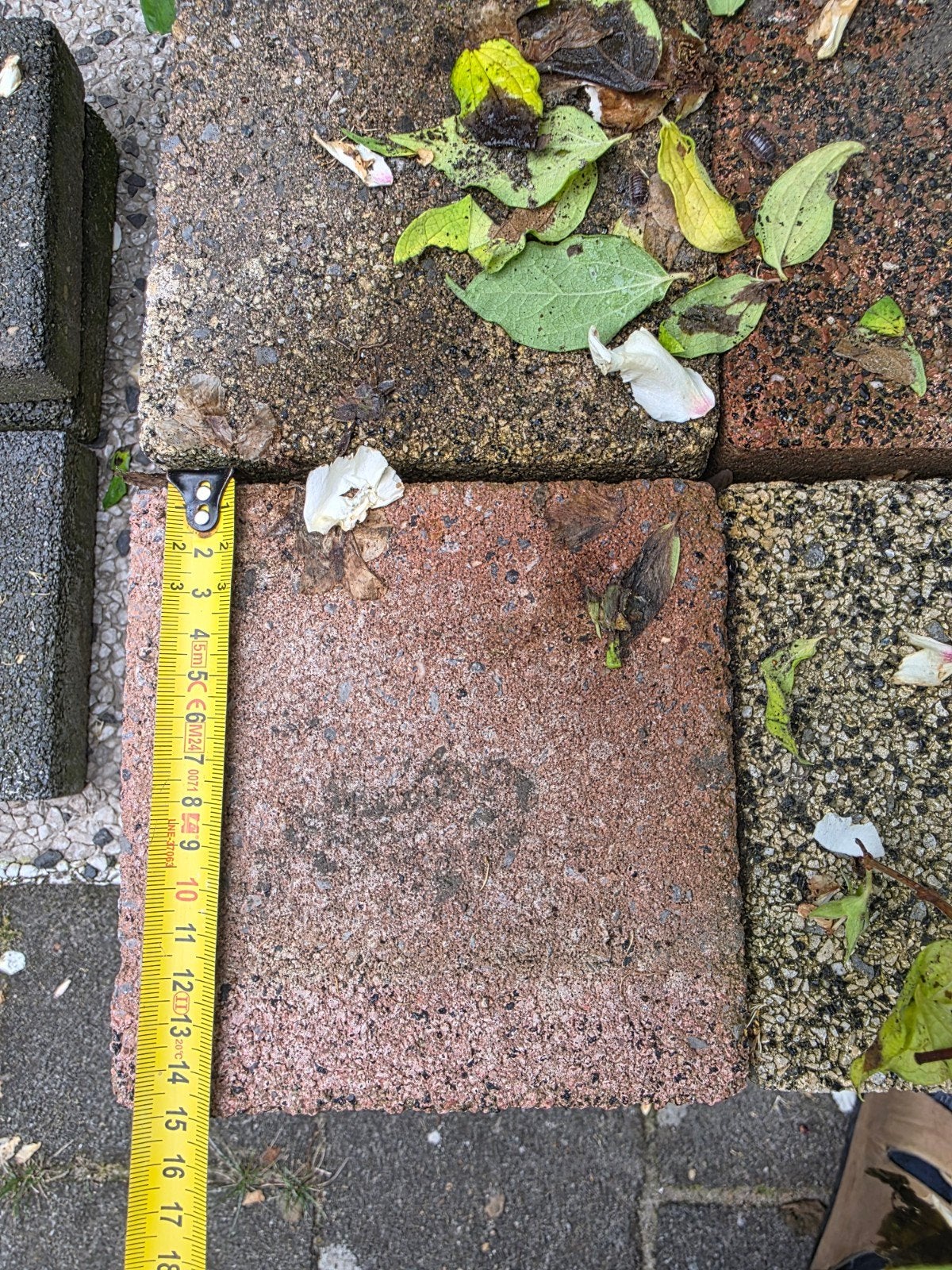 Diverse tegels/stenen: gratis af te halen, Keramiek, Minder dan 20 cm, Minder dan 5 m², Vloertegels