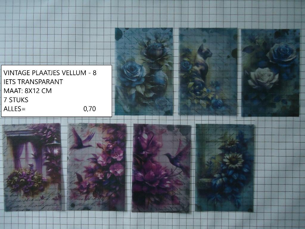gratis bij bestelling: vintage vellum ( alleen verzenden, Ophalen, Nieuw, Versiering of Embellishment, Overige merken
