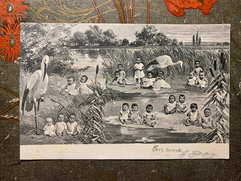 1903 Baby’s met ooievaars (BA), Ophalen of Verzenden, Voor 1920, Gelopen, Kinderen