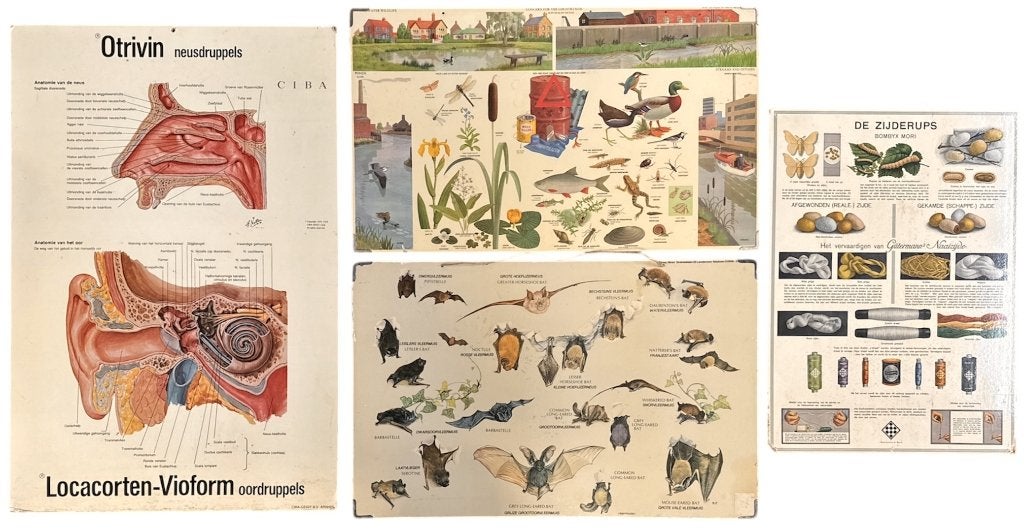 1322. Schoolplaten, ca. 1970, Ophalen, Natuur en Biologie