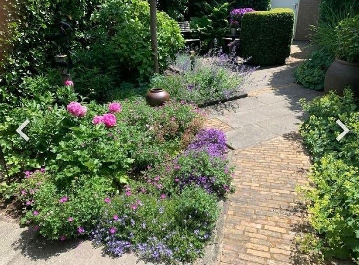 Tuinman/ Hovenier aangeboden, Ophalen of Verzenden, Nieuw, 20 m² of meer