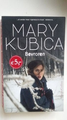 mary kubica bevroren, Boeken, Ophalen of Verzenden, Zo goed als nieuw