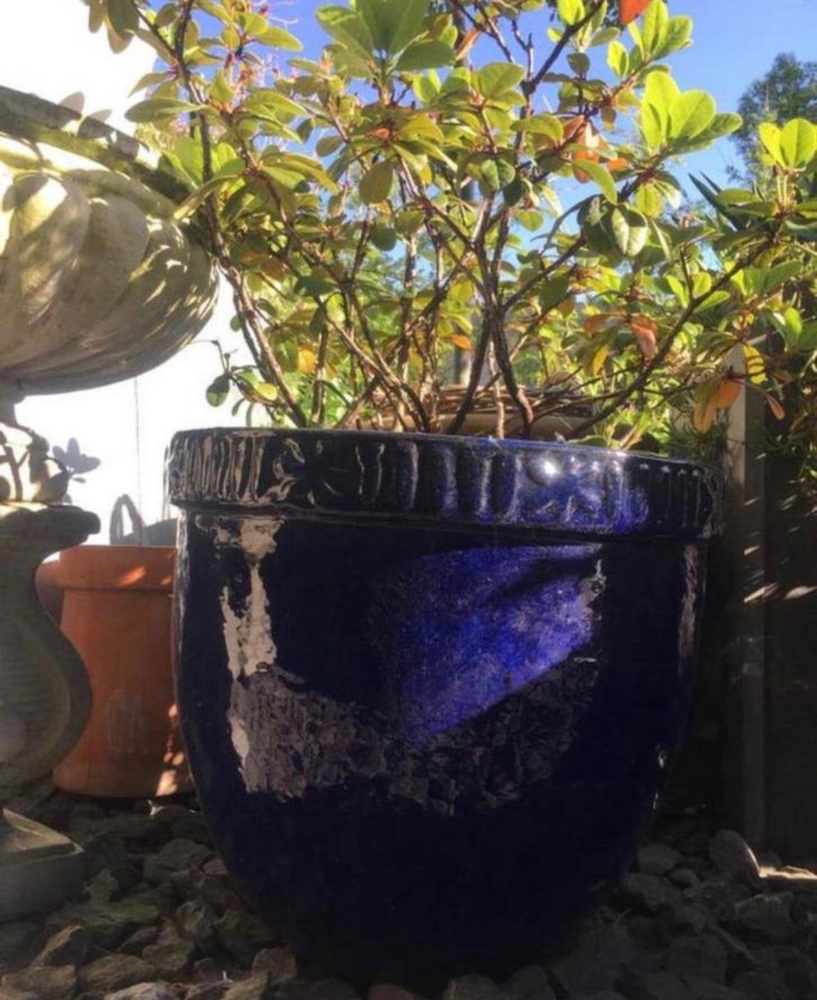Grote neonblauwe bloempot 56cm wind- en vorstbestendig, Ophalen, 40 cm of meer, Rond, Zo goed als nieuw