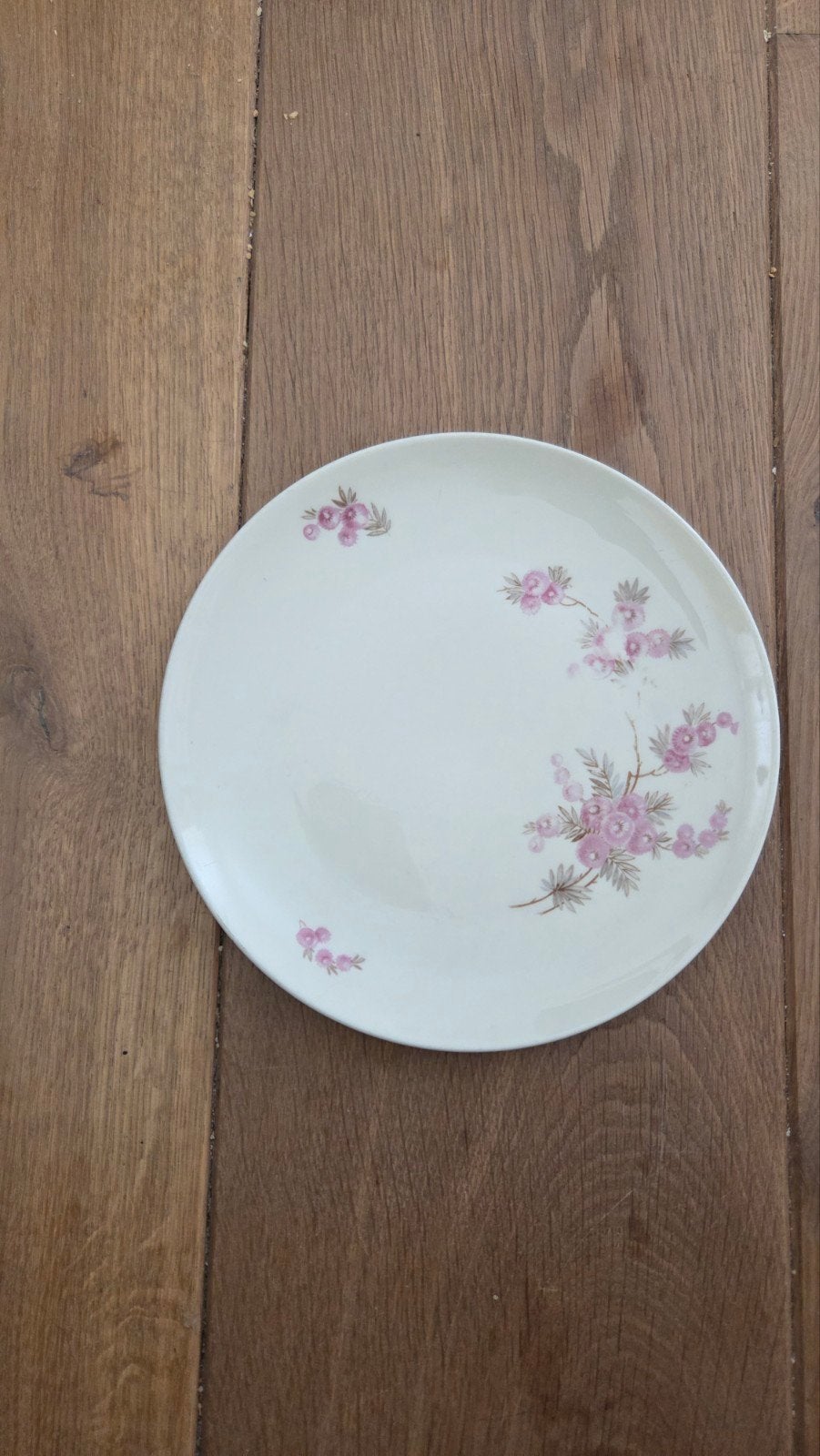 Vintage Bavaria bord met bloemmotief, Ophalen of Verzenden