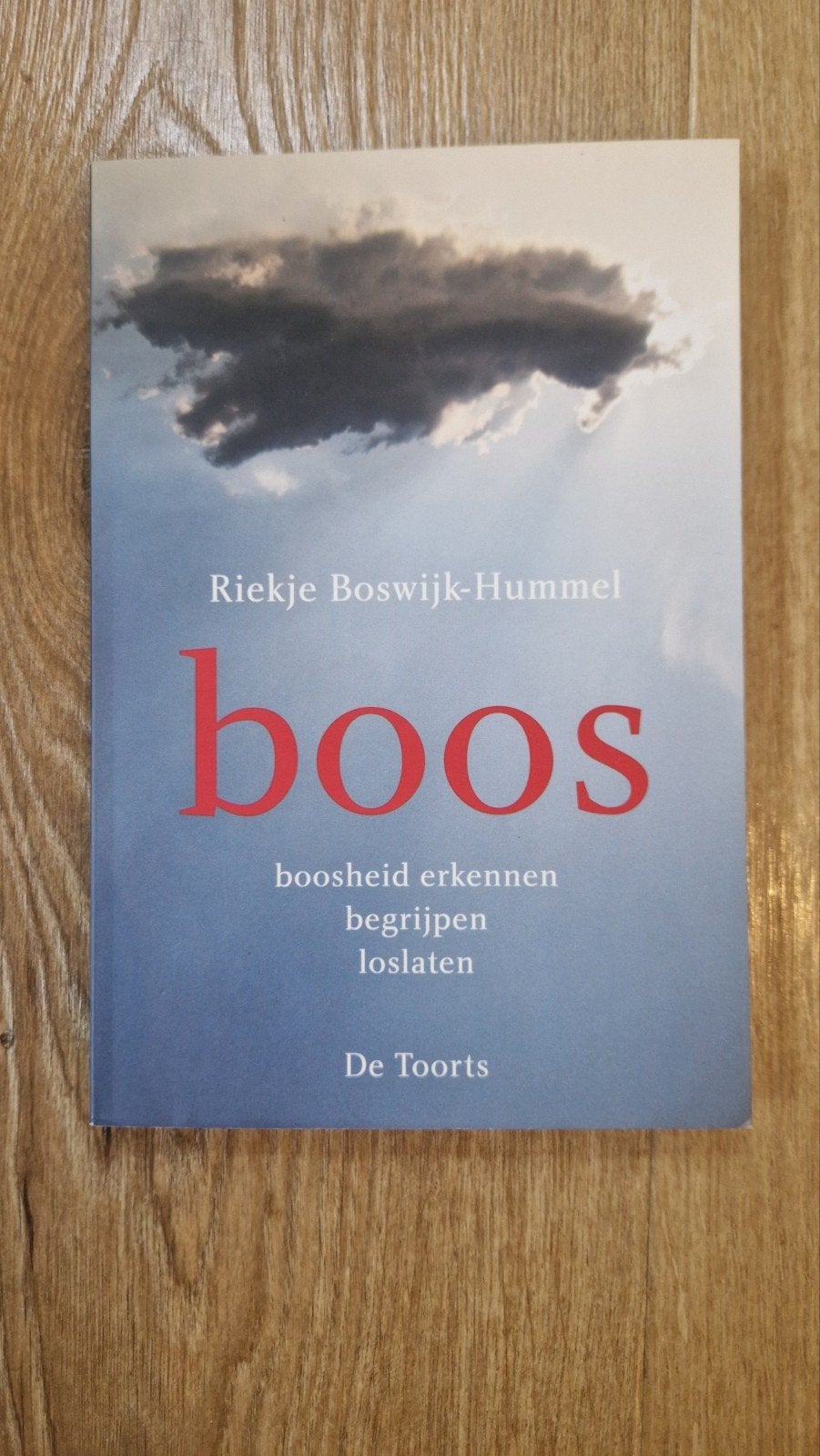 Riekje Boswijk-Hummel - Boos, Ophalen of Verzenden, Zo goed als nieuw, Riekje Boswijk-Hummel
