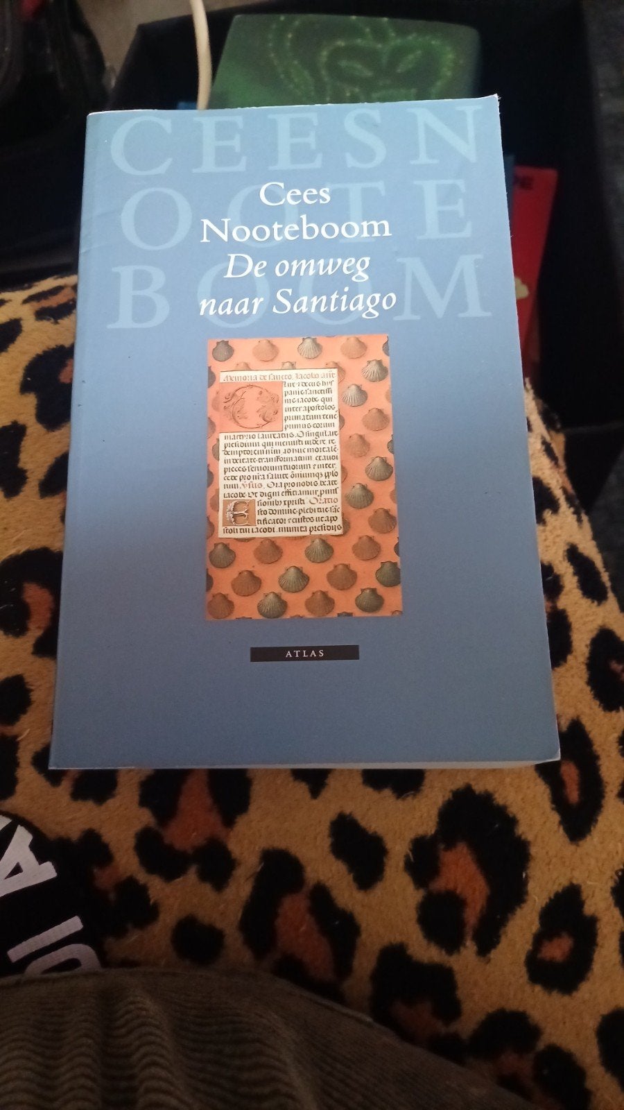 Cees Nooteboom - De omweg naar Santiago, Boeken, Ophalen of Verzenden, Zo goed als nieuw, Cees Nooteboom, Europa