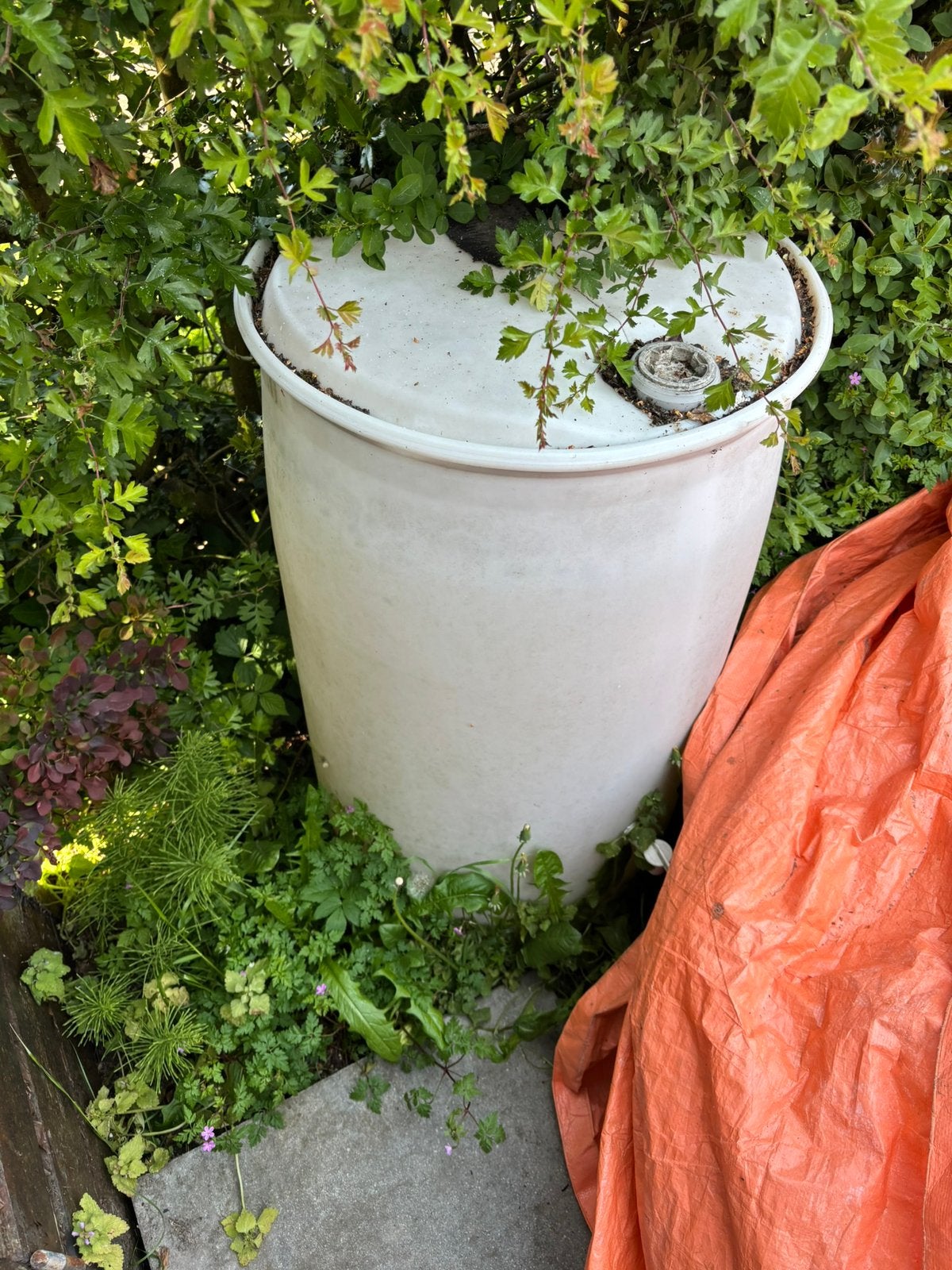 Witte regenton, 150 liter of meer, Ophalen, Zo goed als nieuw