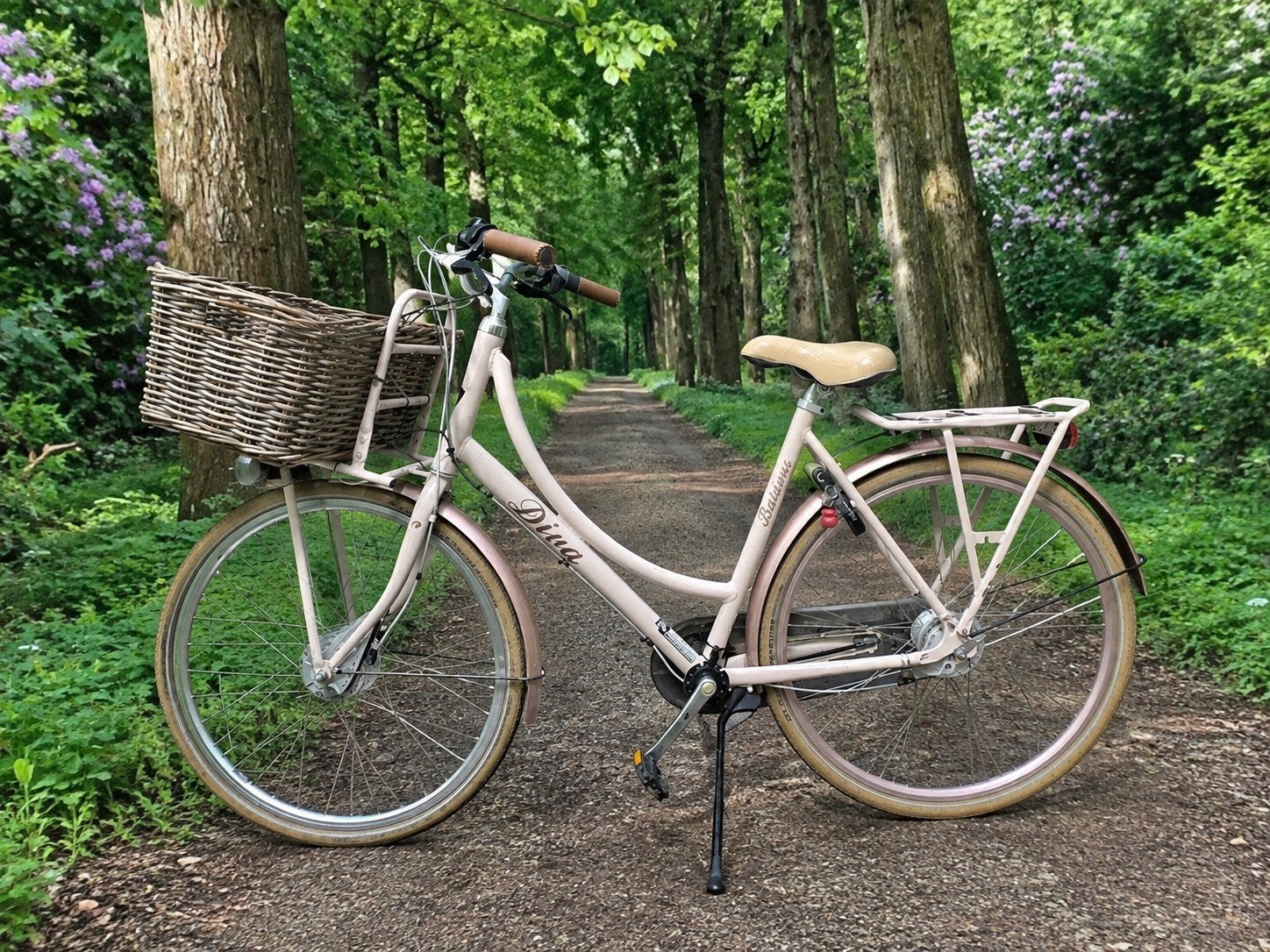 UNIEKE Batavus E-bike (Rijdt als scooter zonder trappen!)