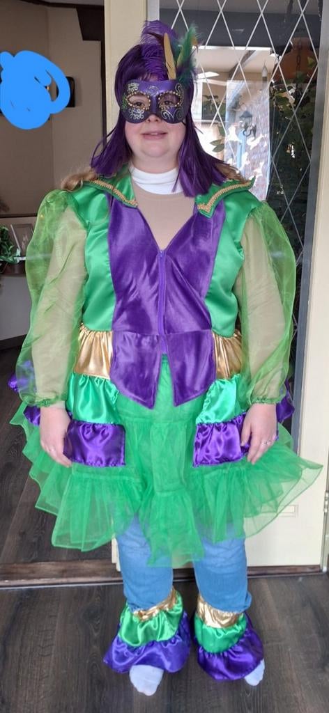 Carnaval/Mardi Gras Kostuumpakket - 14 complete kostuums, Kleding | Dames, Carnavalskleding en Feestkleding, Zo goed als nieuw