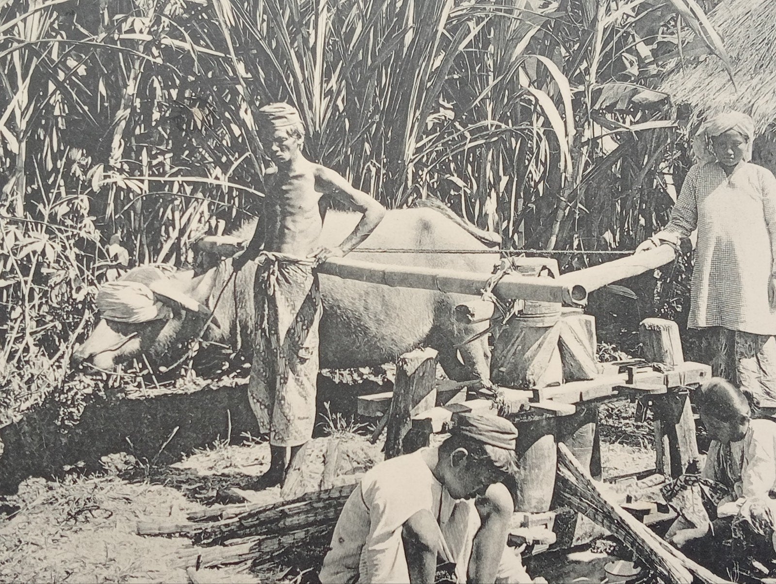 Oude fotogravure Minangkabau suikerriet molen Sumatra, Ophalen of Verzenden, Voor 1940, Gebruikt