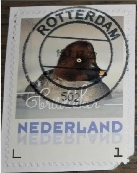 Vogels - Persoonlijk- 3013 - 2017 - Brilduiker, Postzegels en Munten, Postzegels | Nederland, Verzenden, Na 1940, Gestempeld