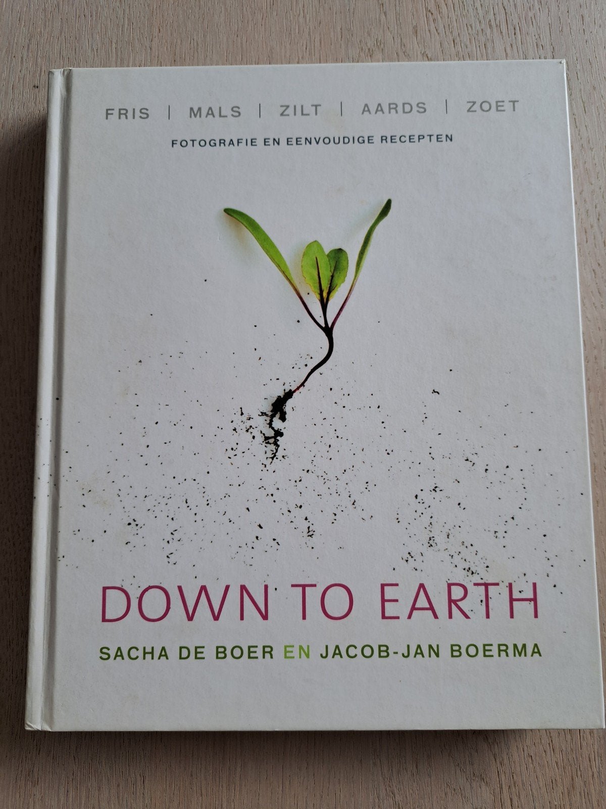 DOWN TO EARTH - Jacob-Jan Boerma en Sacha de Boer, Ophalen of Verzenden, Zo goed als nieuw