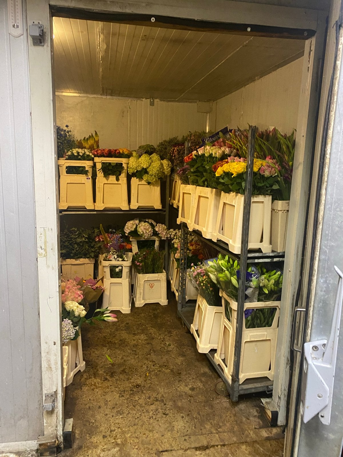 Gratis Grote koelcel !!, Ophalen of Verzenden, Gebruikt, Wandairco, 3 snelheden of meer