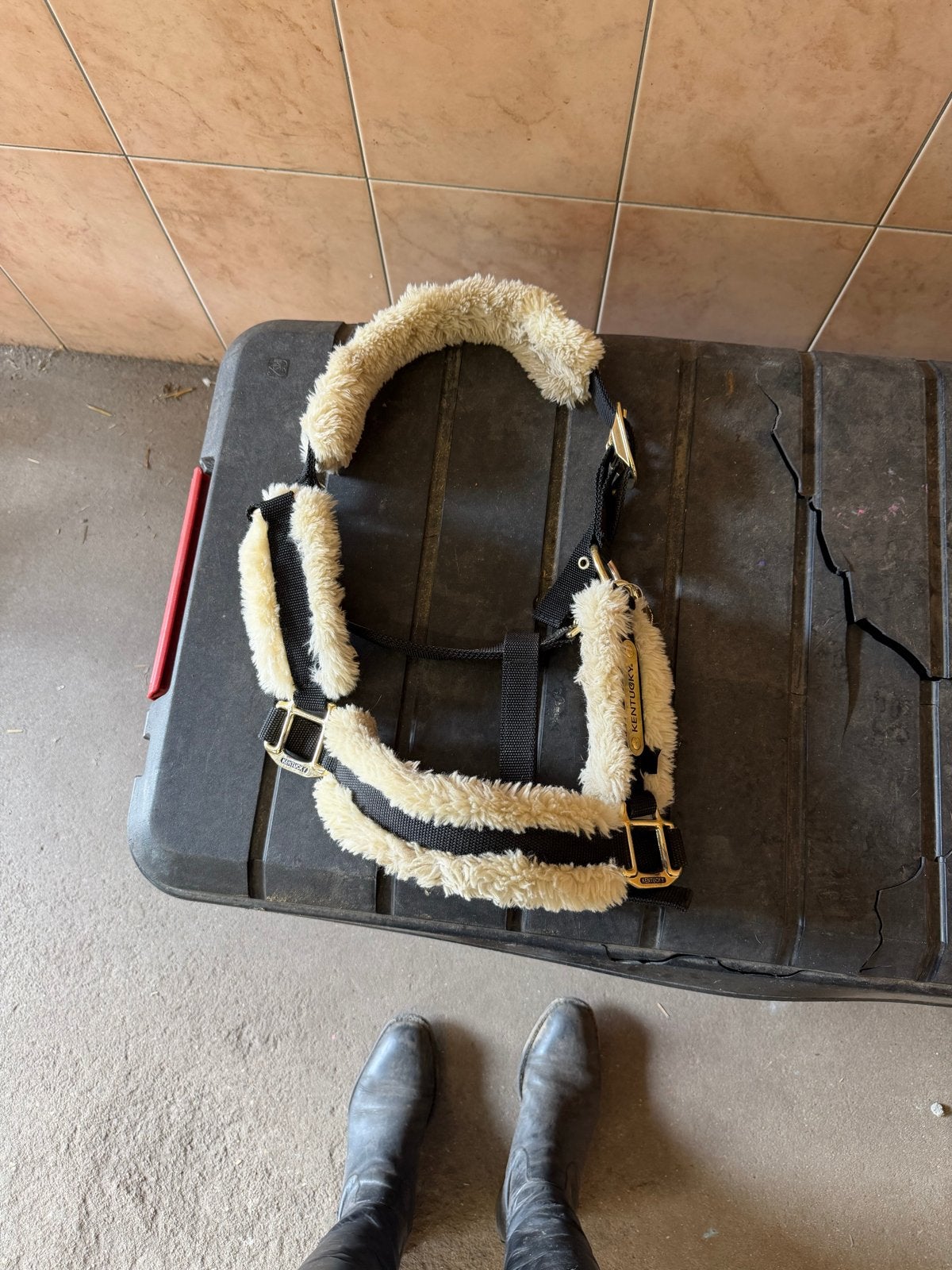 Kentucky halster maat cob, Dieren en Toebehoren, Ophalen of Verzenden, Gebruikt