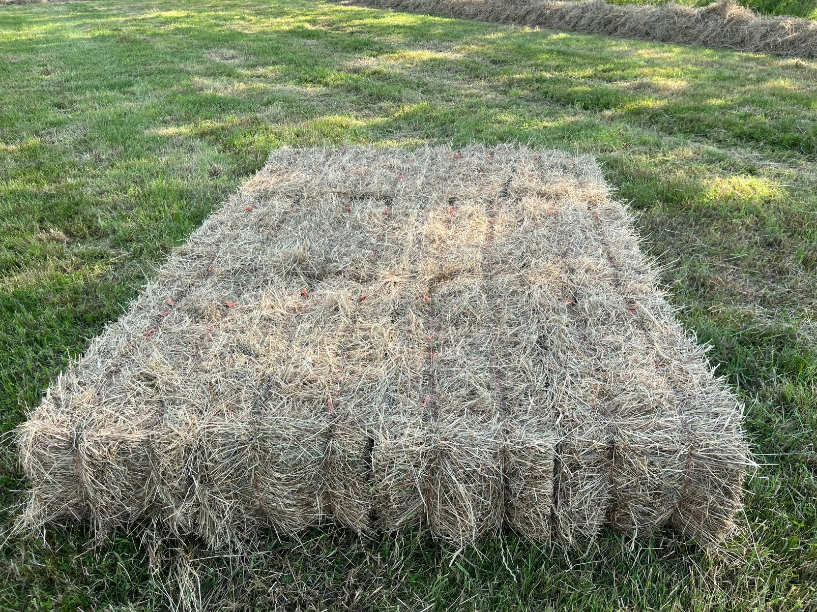 Kleine hooibalen, Dieren en Toebehoren, Dierenvoeding, Ophalen, Vee
