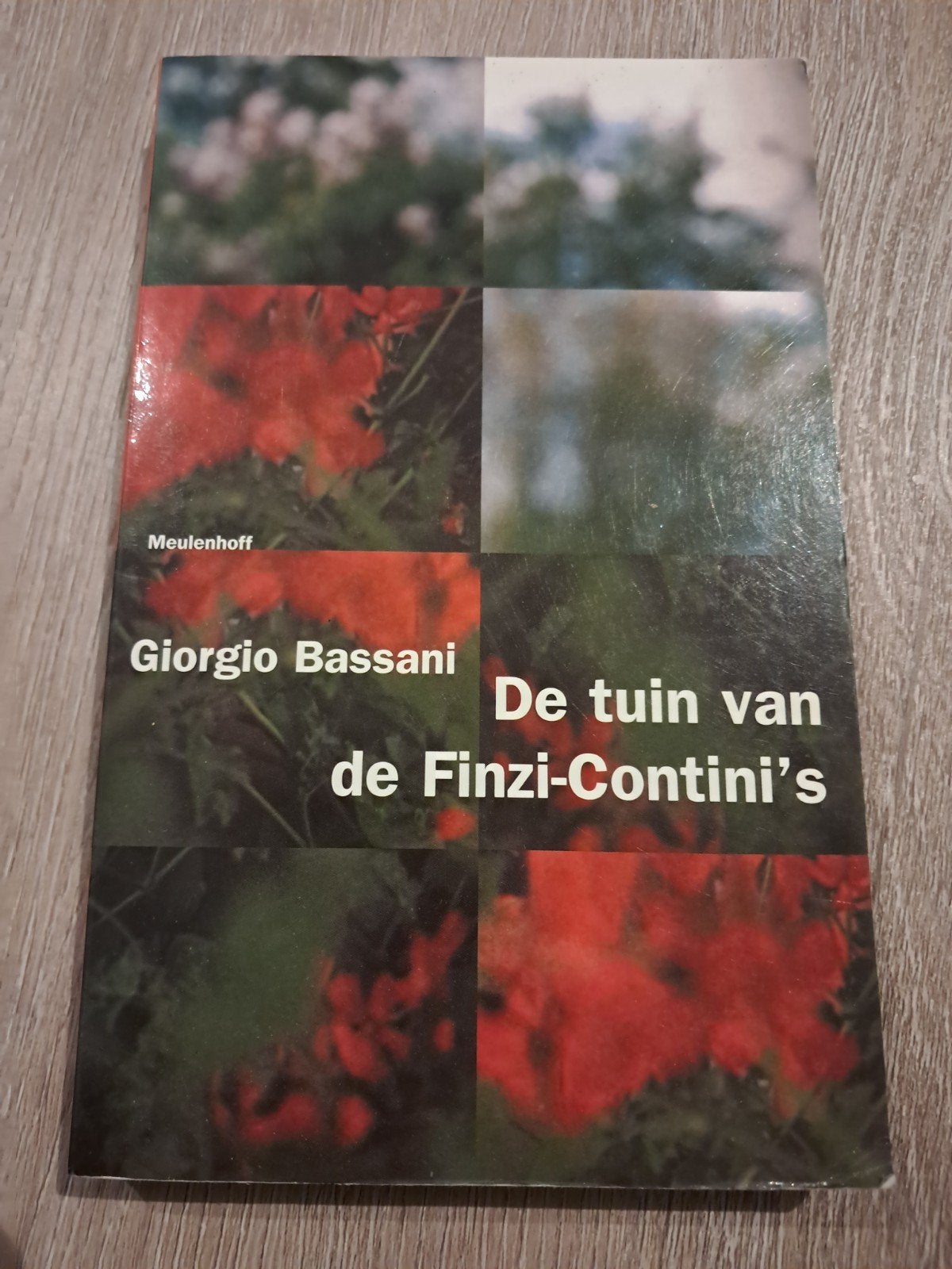 L: De tuin van de Finzi-Contini's - Giorgio Bassani, Boeken, Ophalen of Verzenden, Gelezen, Giorgio Bassani, Europa overig