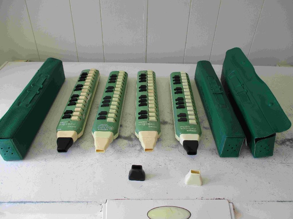 Melodica's Hohner, Muziek en Instrumenten, Blaasinstrumenten | Mondharmonica's, Gebruikt, Overige typen, Chromatisch, Ophalen of Verzenden