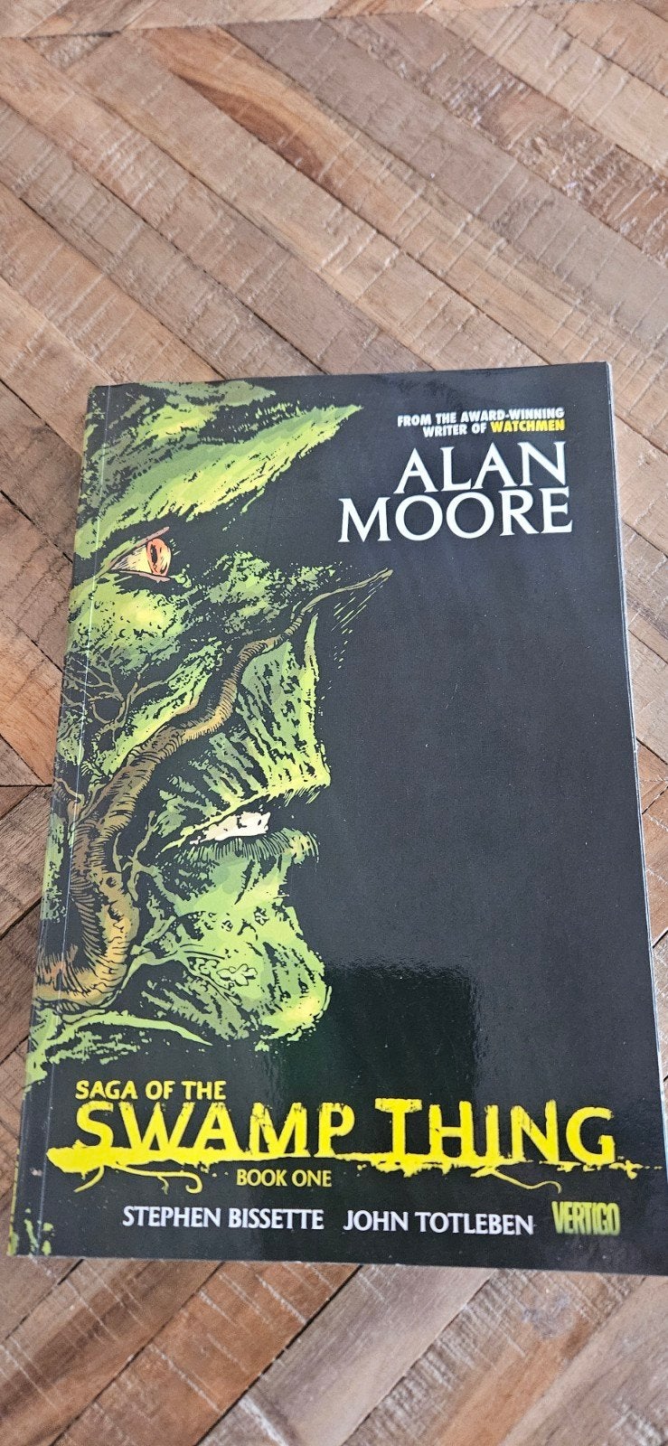 Saga of the Swamp Thing Boek Eén - Alan Moore, Eén stripboek, Ophalen of Verzenden, Zo goed als nieuw, Alan Moore