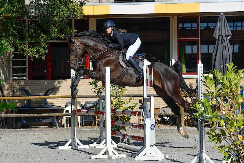 Zadelmak maken en opleiden/doortrainen van paarden/pony’s