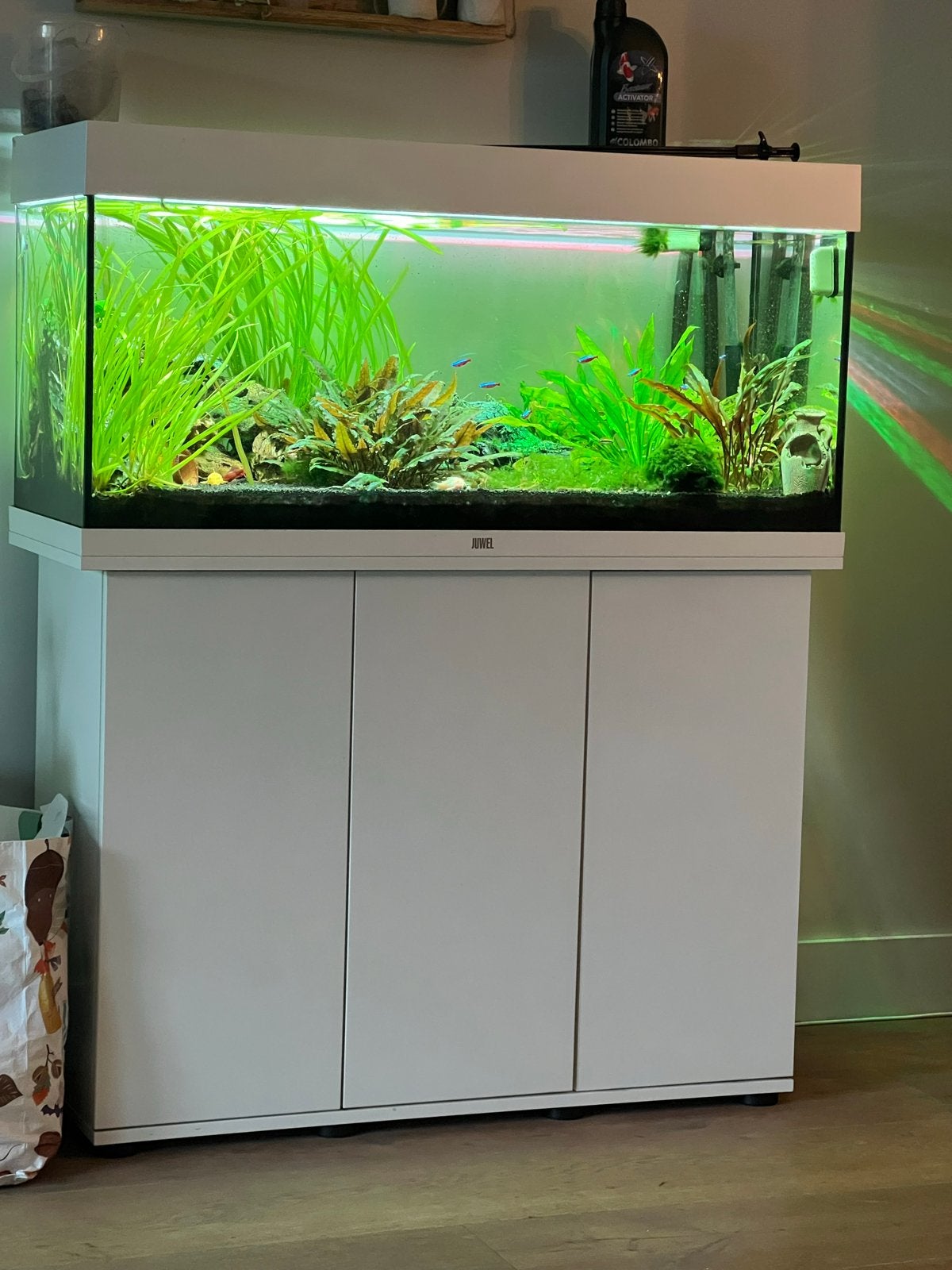 Te koop aqarium, Ophalen, Zo goed als nieuw, Gevuld zoetwateraquarium, Juwel