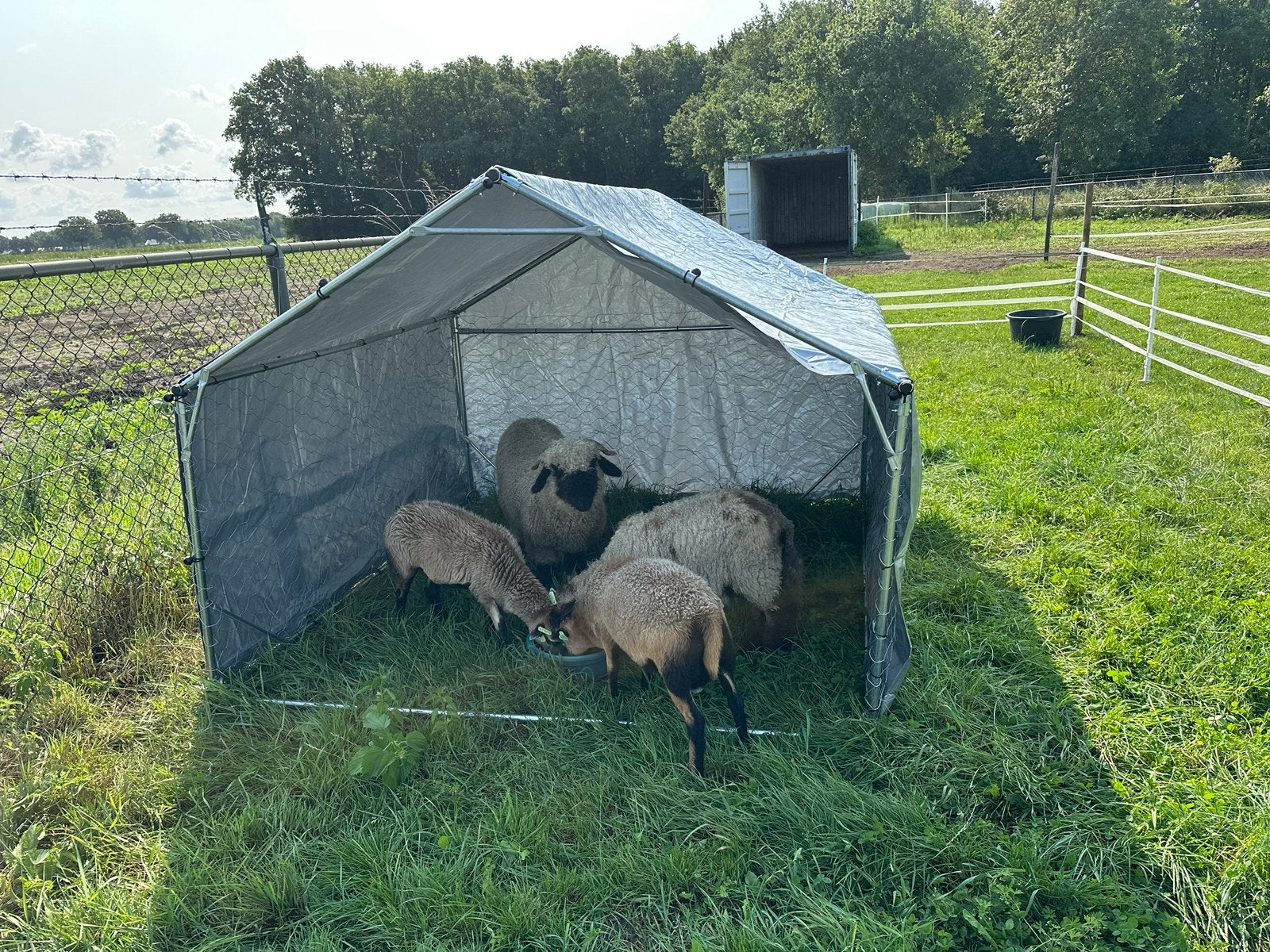 Schuilstal hok voor klein vee of hond, Toebehoren