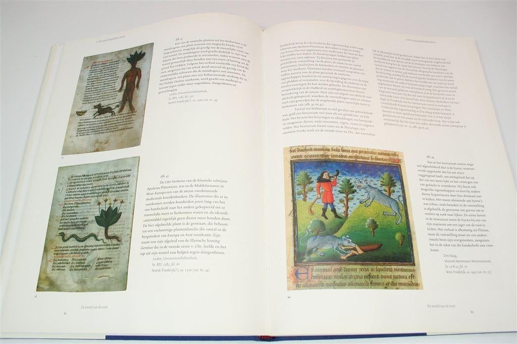 Praal, Ernst & Emotie — Franse Middeleeuwse Handschriften, Boeken, Kunst en Cultuur | Beeldend, Ophalen of Verzenden, Zo goed als nieuw