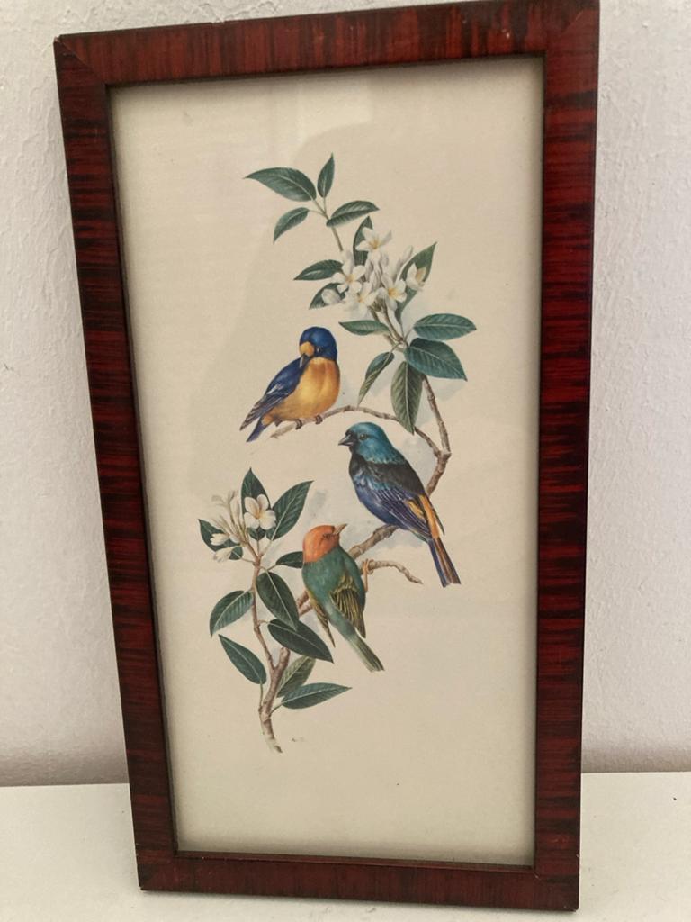 Vintage ingelijste prent met vogels en bloesem, Antiek en Kunst, Ophalen of Verzenden
