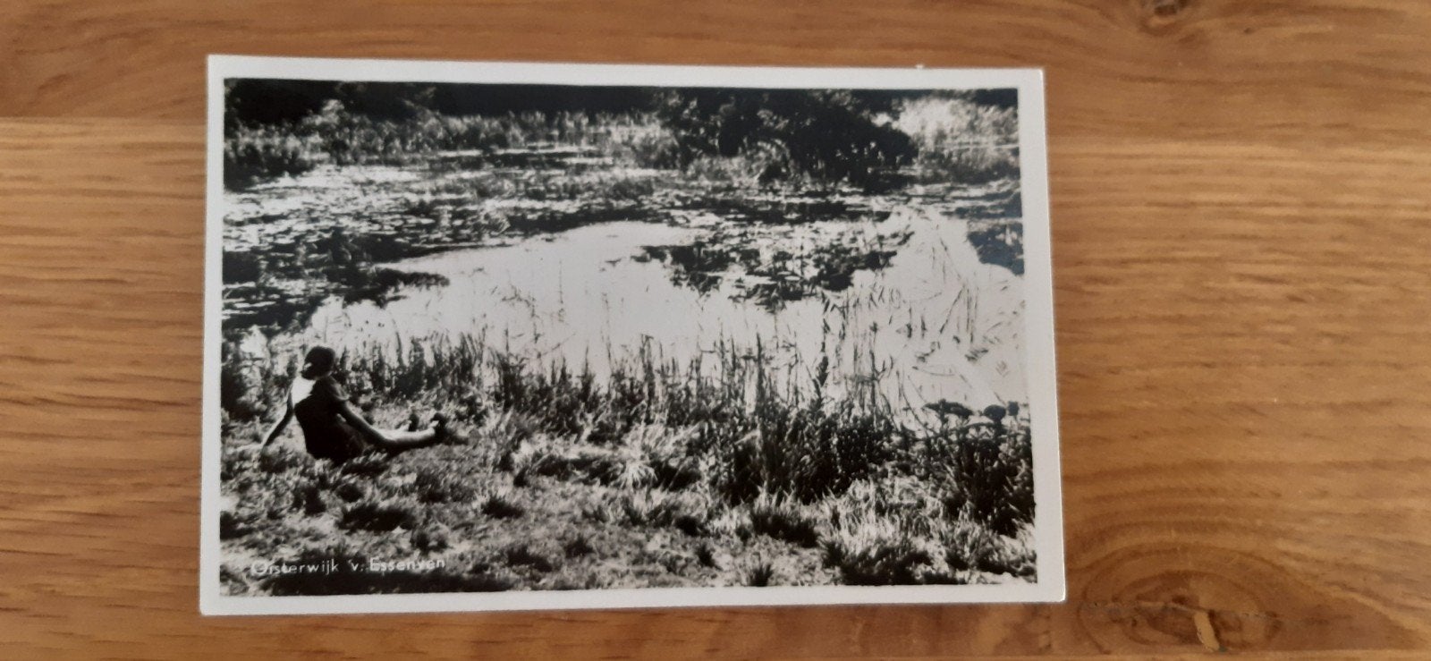 Oisterwijk v. Essenven, Ophalen of Verzenden, 1940 tot 1960, Gelopen, Noord-Brabant