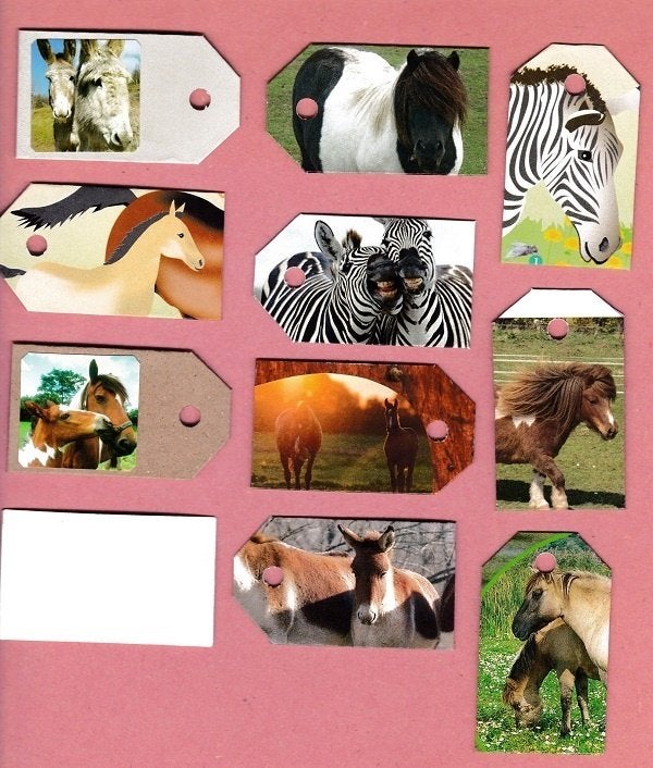 0200) paarden, ezels en zebra's labeltjes, Ophalen of Verzenden, Zo goed als nieuw, Paard, Overige typen