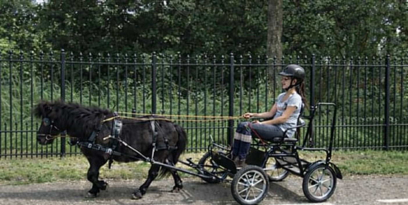 Traverse menwagen te koop!, Ophalen, Gebruikt, Overige soorten