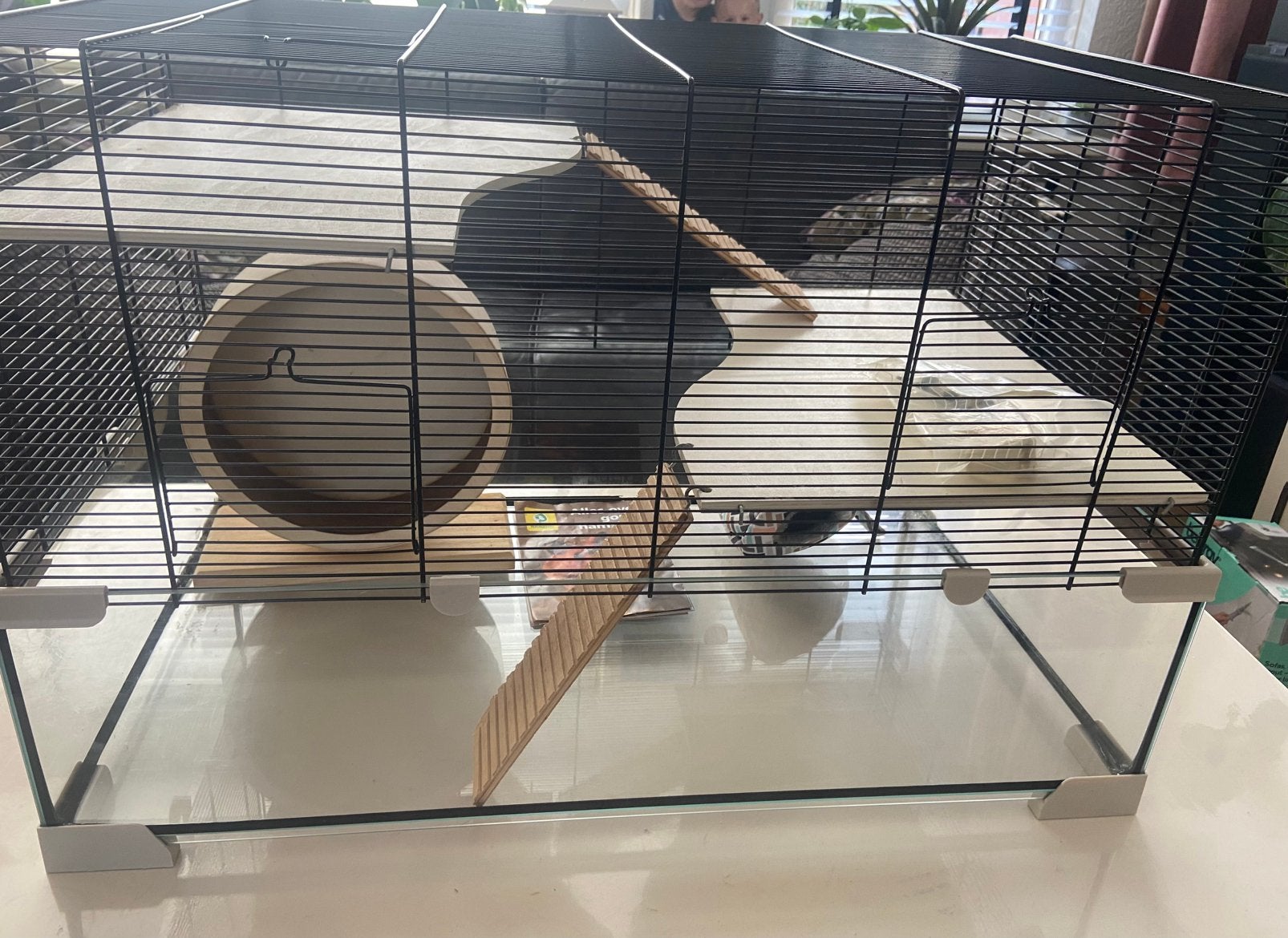 Ferplast Karat 80, hamsterkooi, Dieren en Toebehoren, Kooi, Gebruikt, Hamster, 75 tot 110 cm